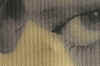 auge_canvas.jpg (132517 Byte)